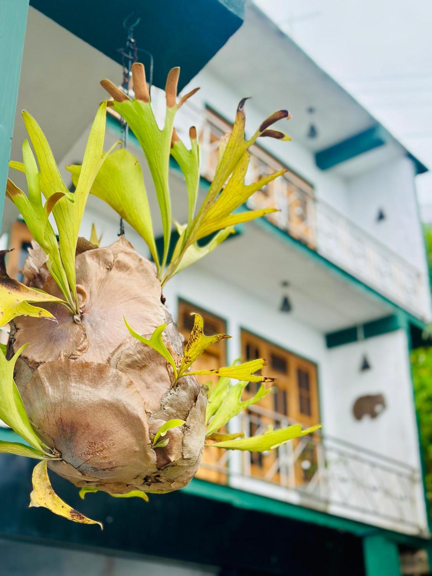 Abc Guest Inn & Restaurant Haputale Luaran gambar